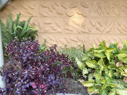 Outdoor Pictures 3