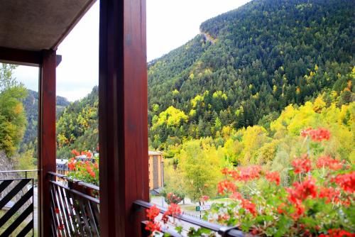 Outdoor Pictures 7