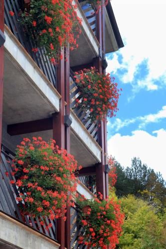 Outdoor Pictures 14