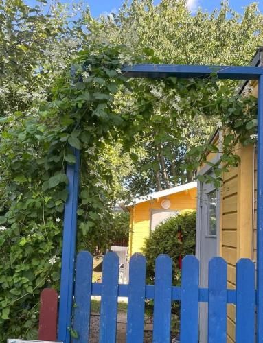 Outdoor Pictures 24