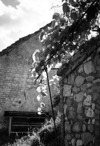 Outdoor Pictures 20