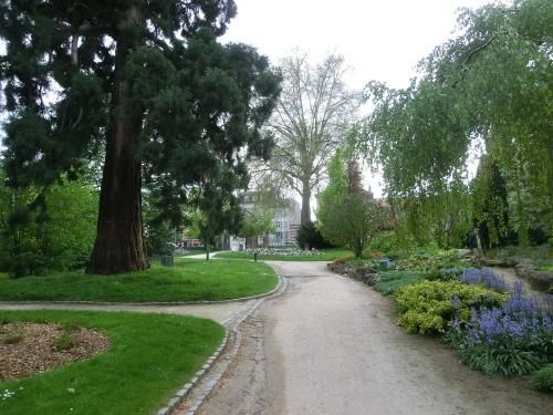 Outdoor Pictures 15
