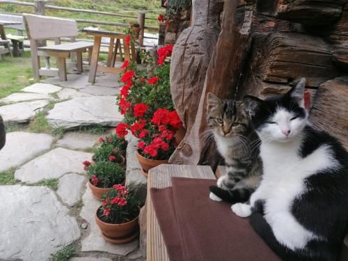 Outdoor Pictures 1