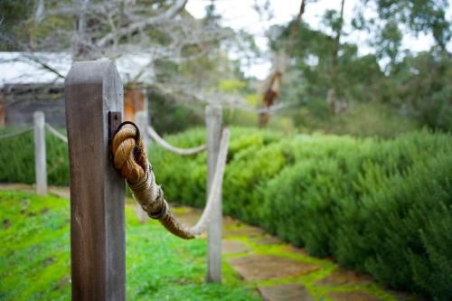 Outdoor Pictures 23