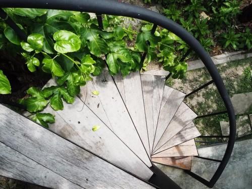 Outdoor Pictures 14