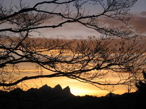Outdoor Pictures 13