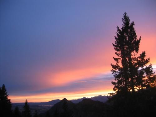 Outdoor Pictures 14