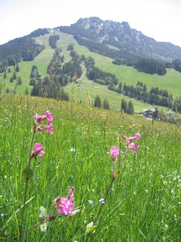 Outdoor Pictures 21