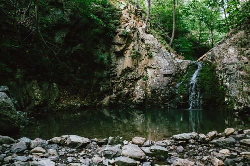 Outdoor Pictures 11
