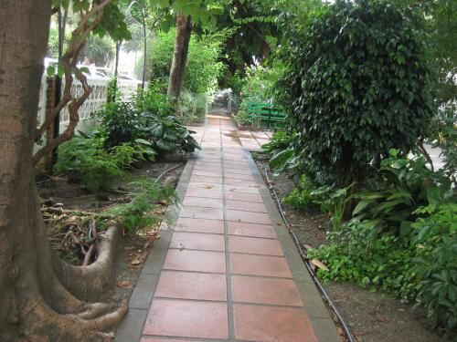Outdoor Pictures 5
