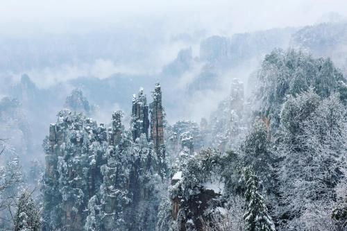 Outdoor Pictures 20