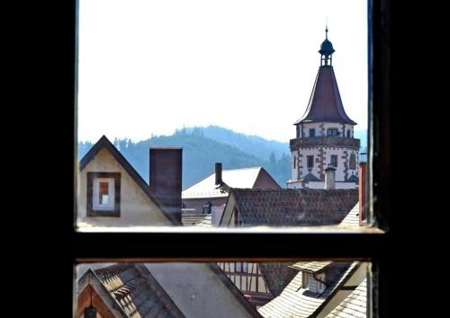 Outdoor Pictures 19