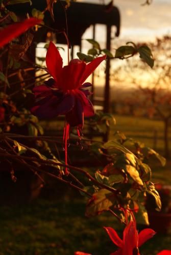 Outdoor Pictures 15