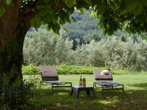 Outdoor Pictures 10