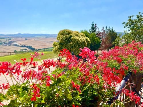 Outdoor Pictures 23