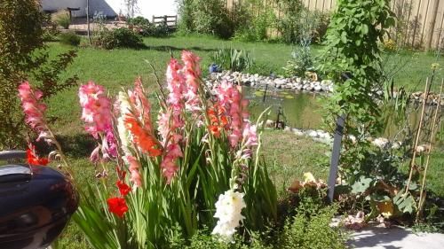 Outdoor Pictures 7