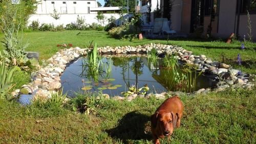 Outdoor Pictures 8
