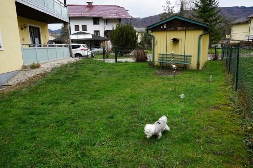 Outdoor Pictures 7