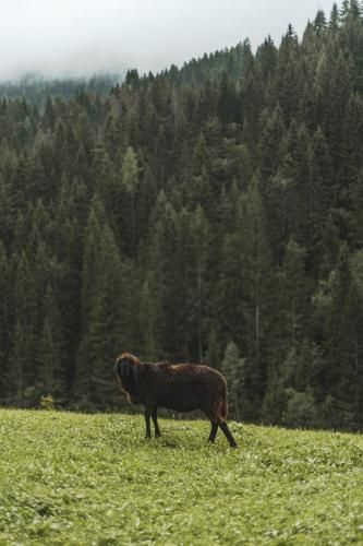 Outdoor Pictures 23