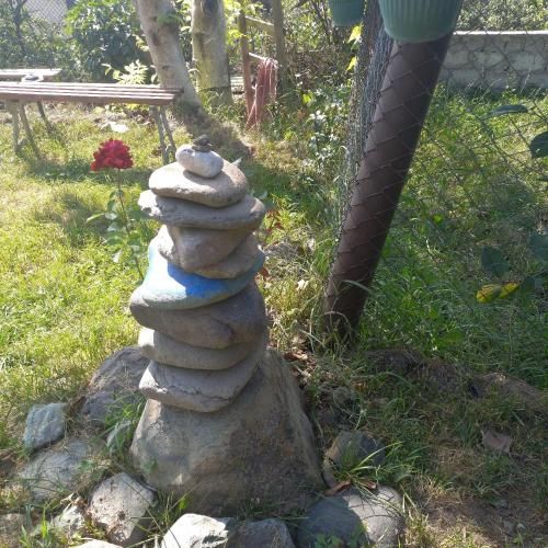 Outdoor Pictures 9