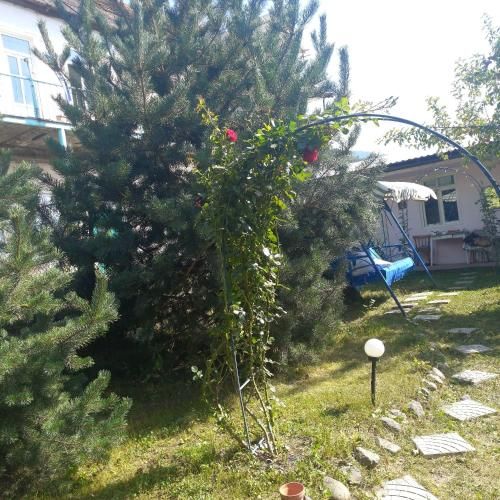 Outdoor Pictures 10