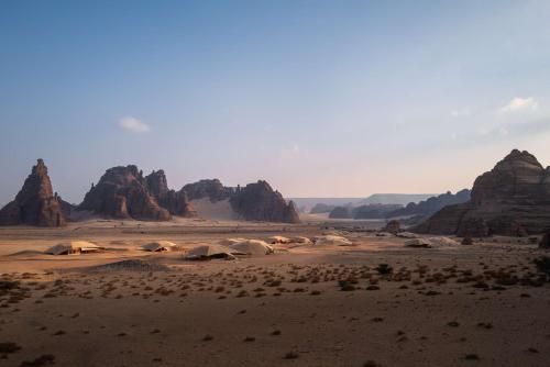 Banyan Tree AlUla