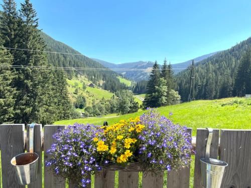 Outdoor Pictures 16