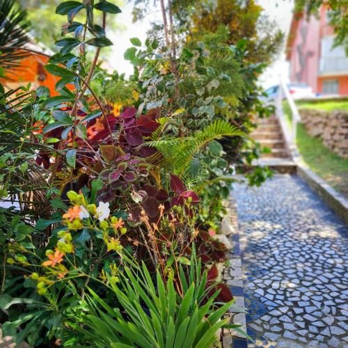 Outdoor Pictures 8