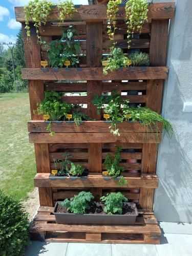 Outdoor Pictures 9