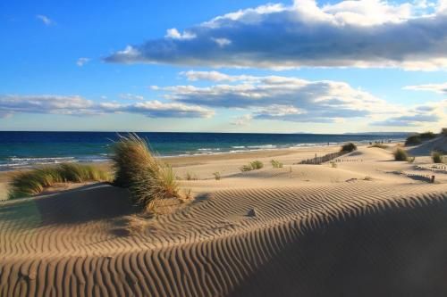 Outdoor Pictures 24