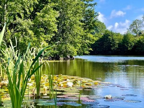 Outdoor Pictures 15