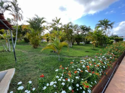 Outdoor Pictures 7