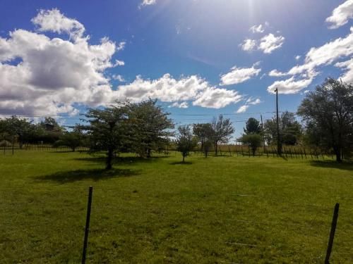 Outdoor Pictures 16