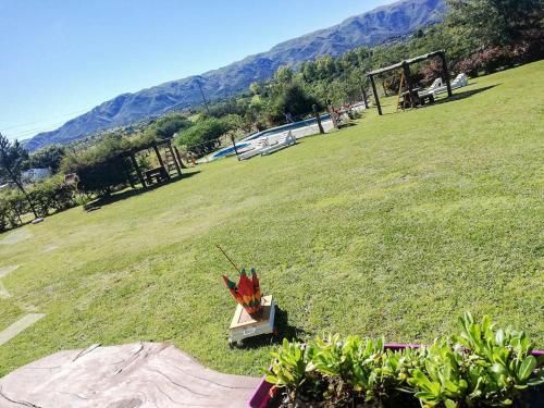 Outdoor Pictures 18