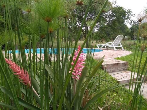 Outdoor Pictures 8
