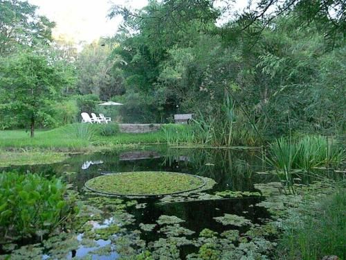 Outdoor Pictures 9