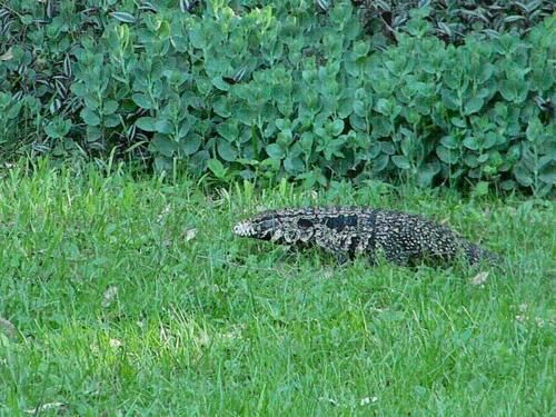 Outdoor Pictures 16