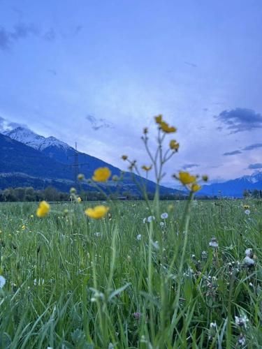 Outdoor Pictures 1