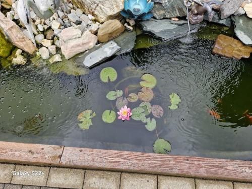 Outdoor Pictures 8