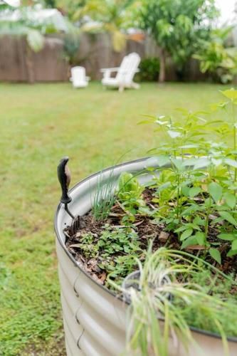 Outdoor Pictures 24