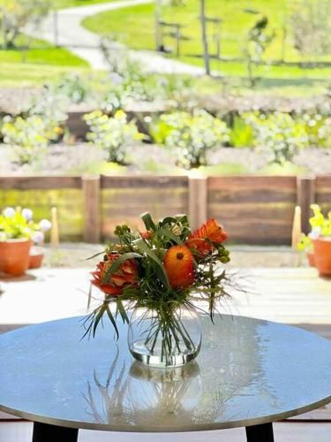 Outdoor Pictures 9