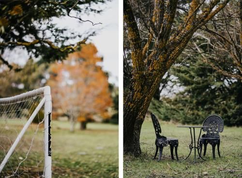 Outdoor Pictures 12