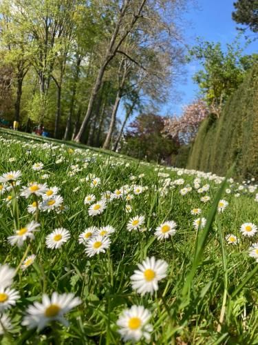 Outdoor Pictures 20