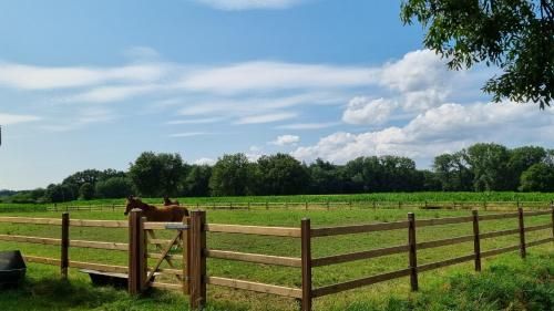 Outdoor Pictures 13