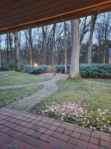 Outdoor Pictures 5