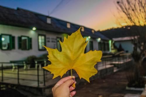 Outdoor Pictures 10