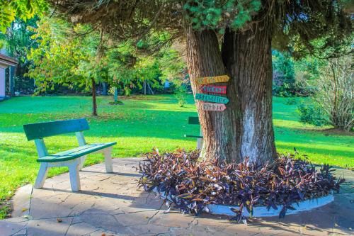 Outdoor Pictures 21