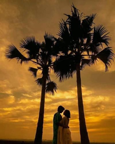 Outdoor Pictures 3