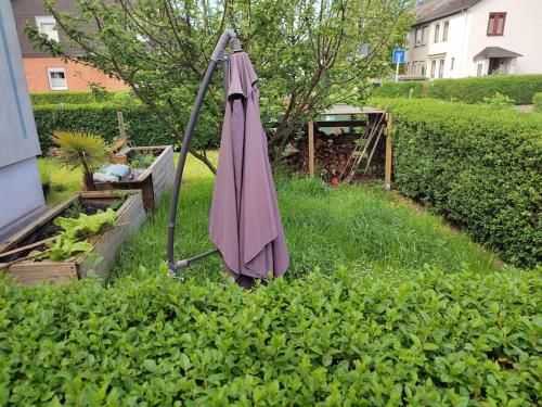 Outdoor Pictures 5