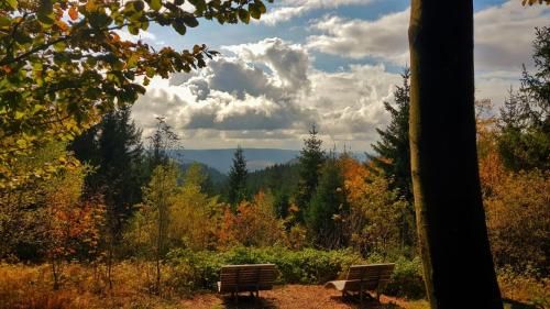 Outdoor Pictures 22